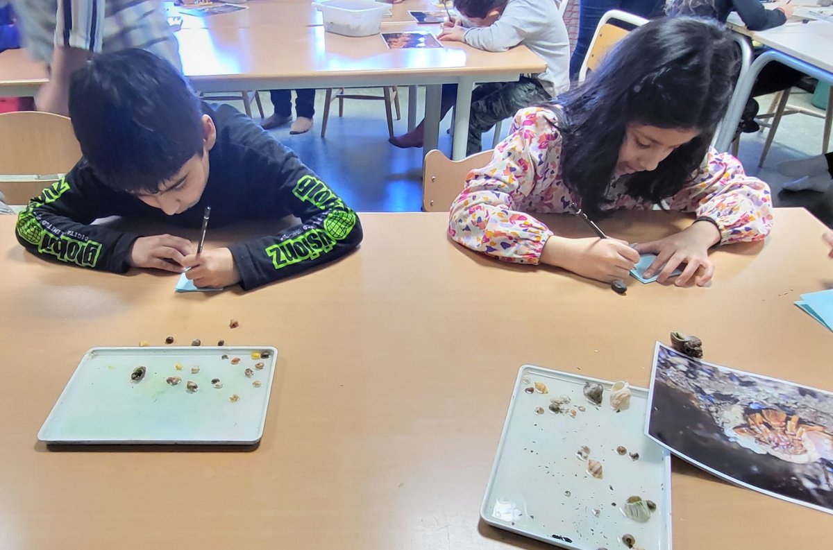  Ocean sustainability project 